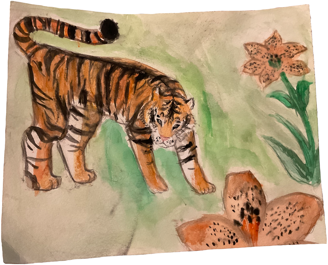 Tiger